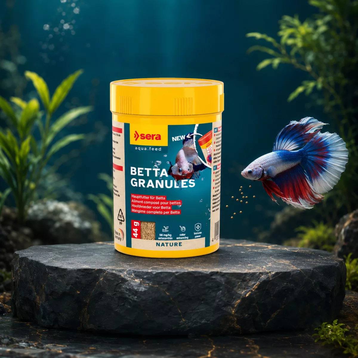 Sera Betta Granules – Nourriture pour Betta Splendens