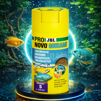 JBL ProNovo Gourami S