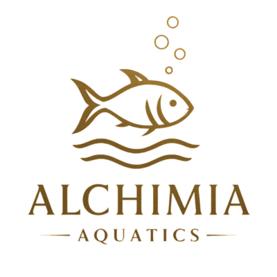 Alchimia Aquatics